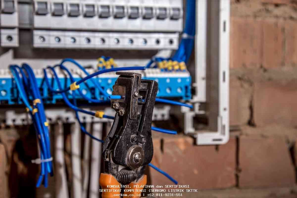 Sertifikasi Tenaga Listrik DJK ESDM: Kunci Profesionalisme dan Keamanan di Industri Energi Kunci Profesionalisme dan Keamanan di Industri Energi